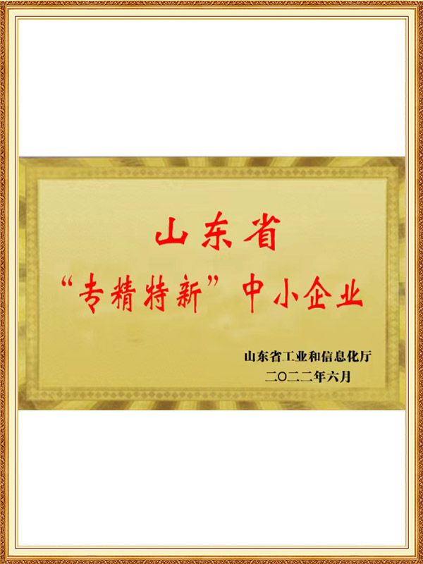 山东省&ldquo;专精特新&rdquo;中小企业